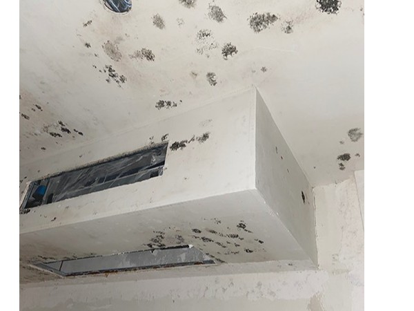 【案例分享】高端別墅地下室潮濕發霉的新型解決方案